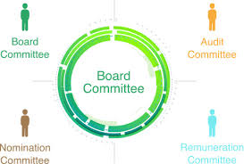 Audit Committee and Nomination and Remuneration Committee
