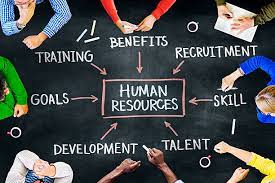 Human Resource Management Courses