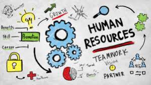 8 Essential Importance of Human Resource and Economic Development ...