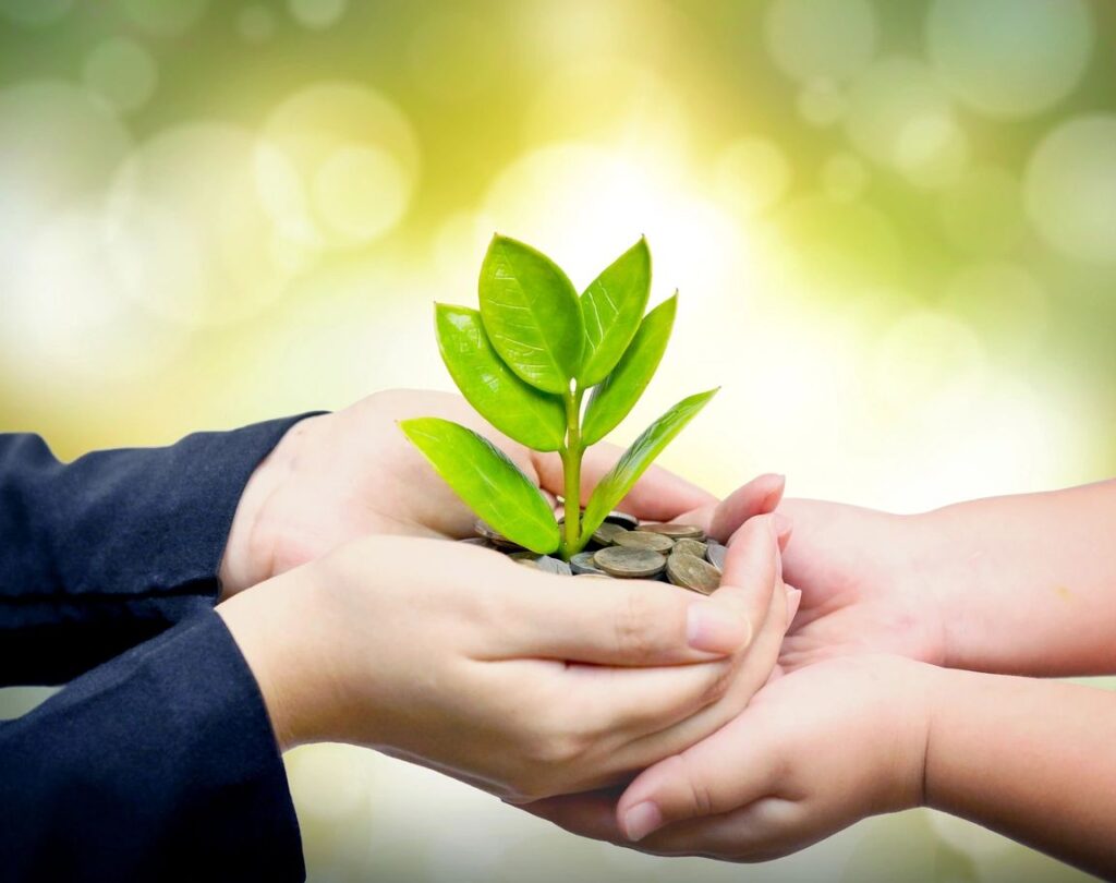 Incorporation & Compliance of Public Limited Company 2025